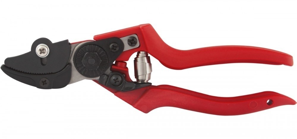 Foarfeca de taiat vita de vie si struguri