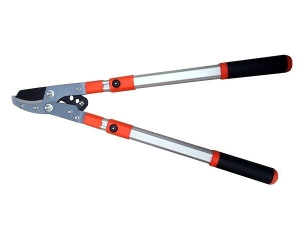 Foarfeca gradina pentru taiat crengi