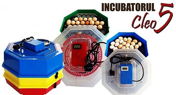 Incubator electric Cleo 5