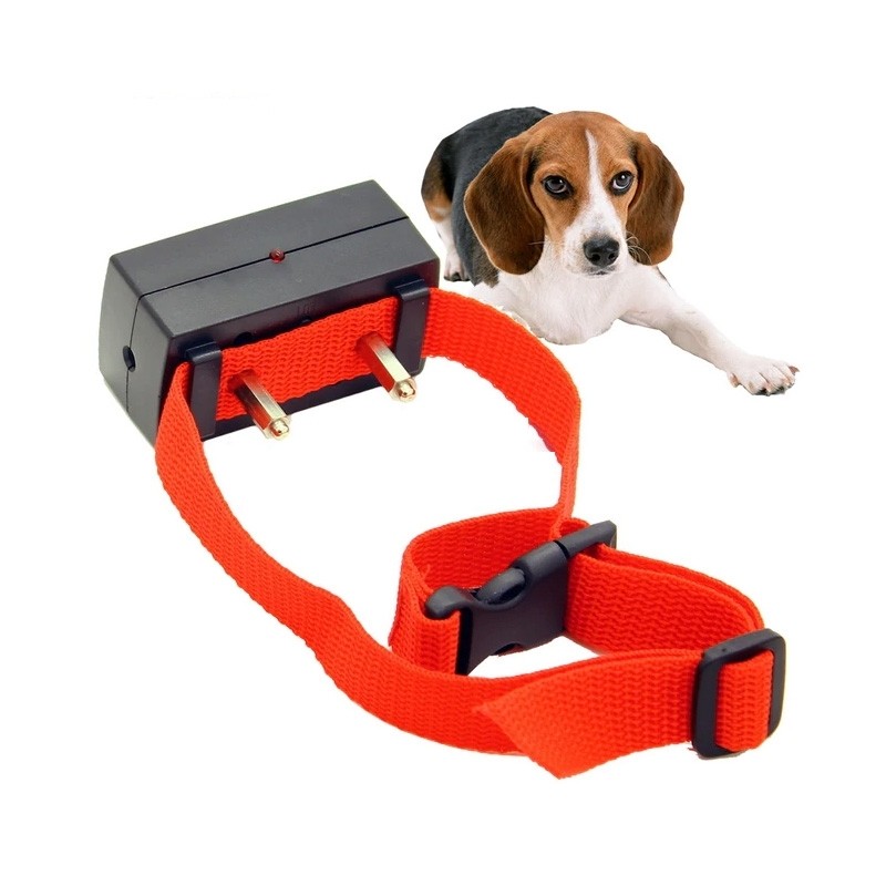 Zgarda anti-latrat profesionala eficienta garantata