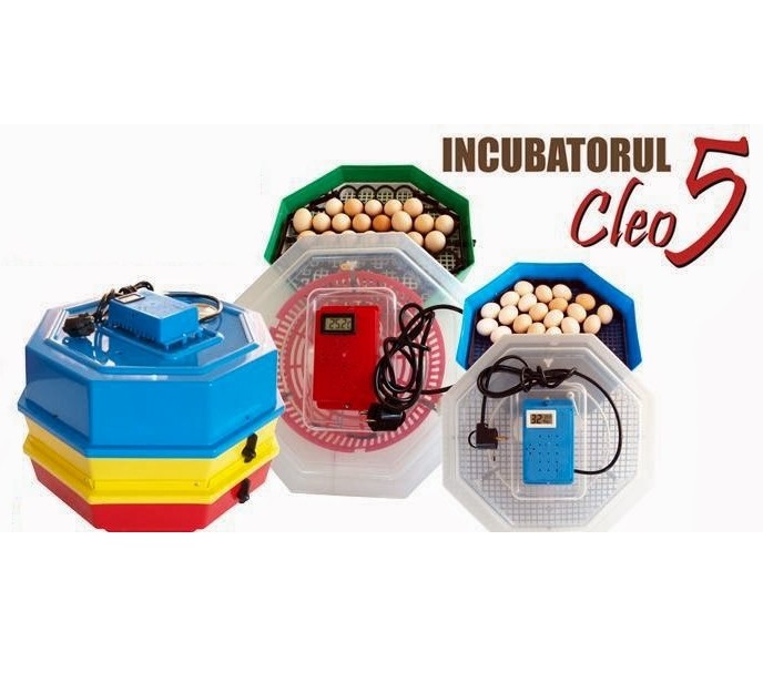 Incubator dublu CLEO 5DT termometru si dispozitiv de intoarcere