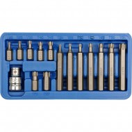 Trusa set biti cu adaptor 15 piese